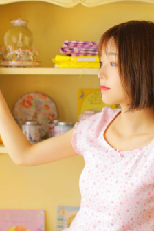 梅花档案2